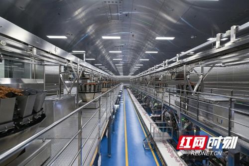 清华大学学子走进劲仔食品，共探“科研兴企”新路径